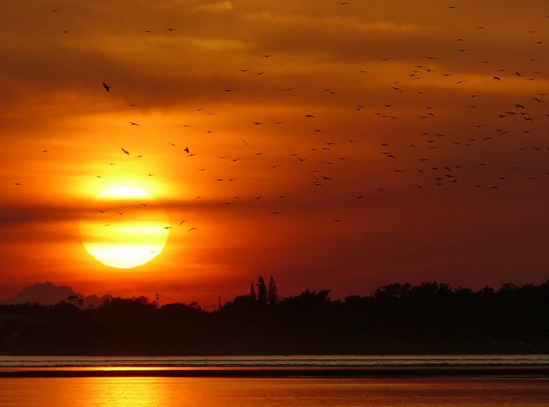 Click to See Next Image